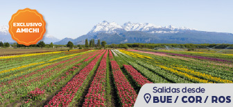 Campo de Tulipanes (Bariloche & Lago Puelo)
